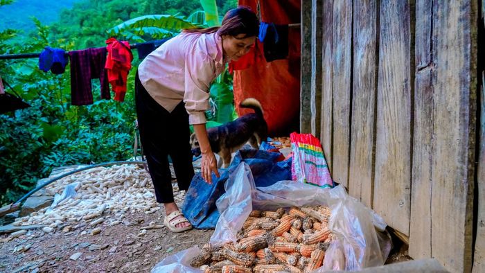 Một mình nuôi 3 con nhỏ, cuộc sống còn nhiều khó khăn khiến chị Triệu Mùi Pham quyết định cho các con nghỉ học.
