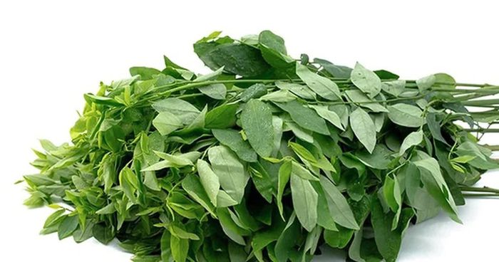 Một số nhóm người cần thận trọng khi ăn rau ngót. Ảnh minh họa