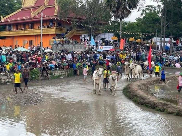 Lễ hội đua bò Bảy Núi giờ đây không còn co cụm trong không gian phum sóc nhỏ hẹp mà đã vươn mình trở thành một sự kiện văn hóa – du lịch tầm cỡ.