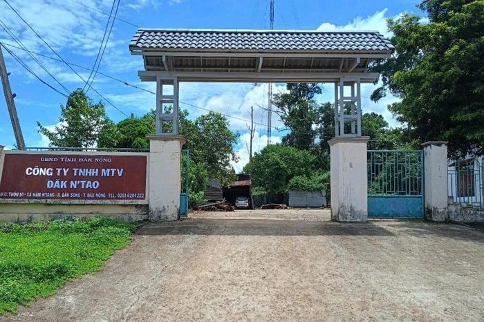 Giám đốc Sở Nông nghiệp và Môi trường tỉnh Lâm Đồng phê bình các đơn vị chủ rừng để xảy ra các vụ vi phạm Luật Lâm nghiệp nổi cộm. Trong đó, có Công ty TNHH MTV Lâm nghiệp Đắk N’Tao (08 vụ). Theo Sở, việc lãnh đạo và chỉ đạo của người đứng đầu các đơn vị này chưa được thực hiện một cách quyết liệt và có giải pháp xử lý triệt để