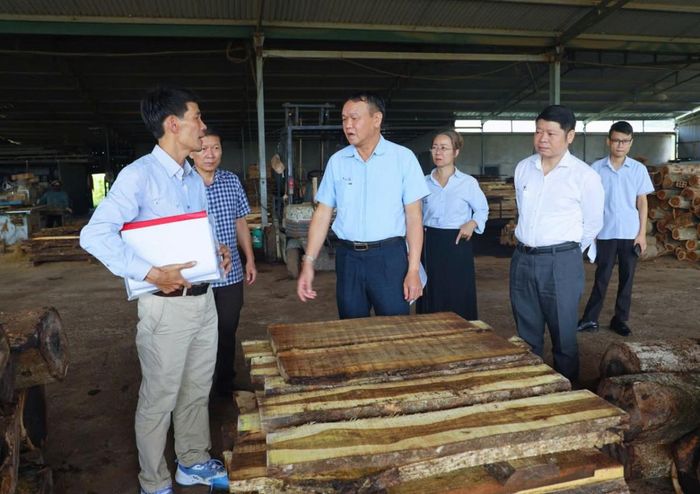  Phó Chủ tịch UBND tỉnh Đào Mỹ kiểm tra thực tế tại Cụm công nghiệp M’Drắk. 