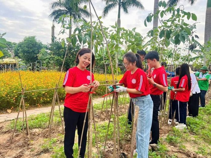 Ngay sau lễ phát động các thầy cô giáo, học sinh Trường Edison cùng cán bộ, đoàn viên, hội viên và người dân địa phương trực tiếp đào đất, trồng cây, vun gốc và chăm sóc những cây Kèn hồng đầu tiên.