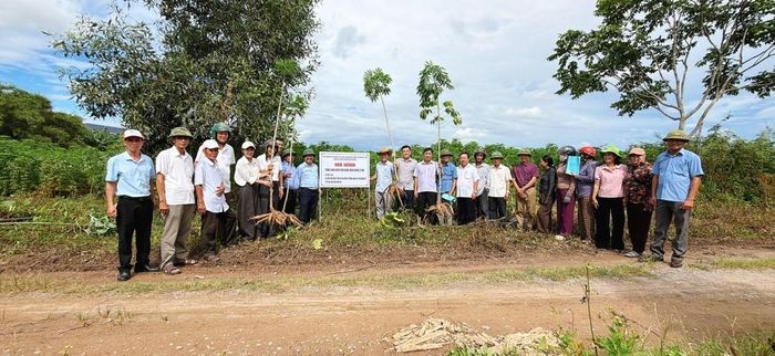  Các đại biểu tham quan mô hình tại thôn Tân Mỹ, phường Quảng Trị 
