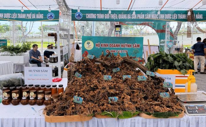 Gian hàng sâm Ngọc Linh và dược liệu Huỳnh Sâm được giới thiệu tại chương trình quảng bá sản phẩm sâm Ngọc Linh, dược liệu và nông sản đặc trưng của Đà Nẵng.