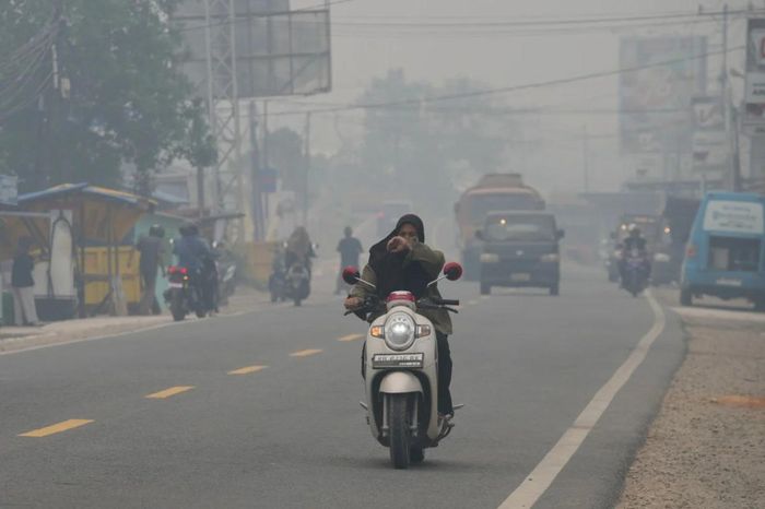 Người tham gia giao thông giữa làn khói dày đặc do cháy rừng ở Mempawah, Tây Kalimantan, Indonesia, ngày 10/9. (Ảnh: AP)