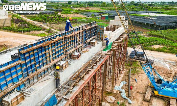 Cầu chính được thiết kế dạng dây văng, nhịp chính dài khoảng 350m, hai trụ tháp cao 126m. Phần cầu dẫn dài khoảng 6,58km, rộng khoảng 33m.