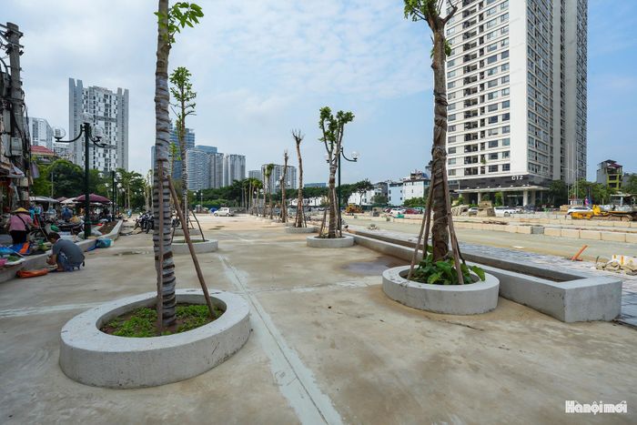 Theo tiến độ hiện nay, các hạng mục nền đường và hệ thống hạ tầng kỹ thuật ngầm đã hoàn thành. Các công việc như thảm nhựa, lát hè, bó vỉa, lắp đặt hệ thống chiếu sáng, cây xanh và tổ chức giao thông đang được gấp rút thực hiện.