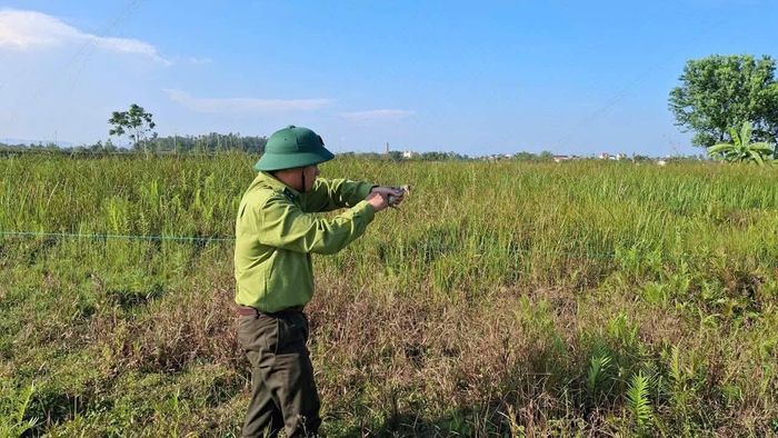 112 cọc cùng 1.820m lưới bẫy chim được phát hiện, tháo dỡ tại xã Yên Thành. Ảnh: CSCC