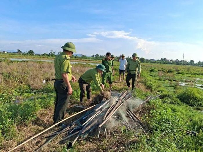 Lực lượng chức năng xã Yên Thành tháo dỡ hệ thống lưới được giăng để bẫy, bắt chim hoang dã. Ảnh: CSCC