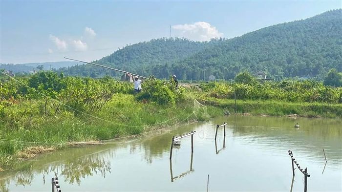 Những chiếc lưới bẫy được tháo xuống cũng là lúc các “trận địa” săn chim dần bị xóa bỏ. Ảnh: CSCC