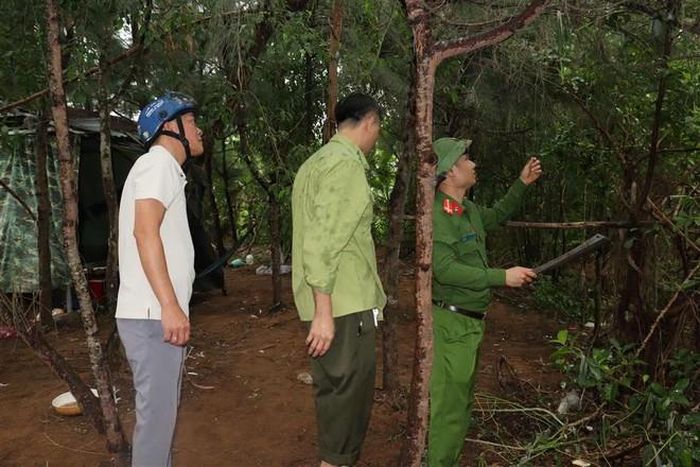 Đoàn công tác liên ngành xã Quỳnh Phú tháo dỡ lưới, bẫy và các dụng cụ săn bắt chim hoang dã, chim di cư tại khu vực trọng điểm. Ảnh: CSCC