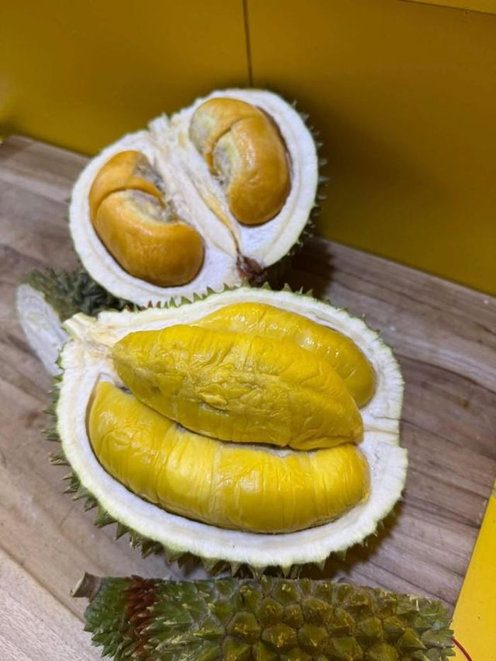 Sầu Musang King có dạng bầu dục, nặng 1,8–2,5kg; dấu hiệu nhận biết chuẩn nhất là đáy quả có 5 múi hình ngôi sao. Cơm màu vàng tươi, dày 4–6cm, mịn, ít xơ, tỷ lệ hạt lép cao, vị ngọt đậm pha đắng nhẹ đặc trưng.