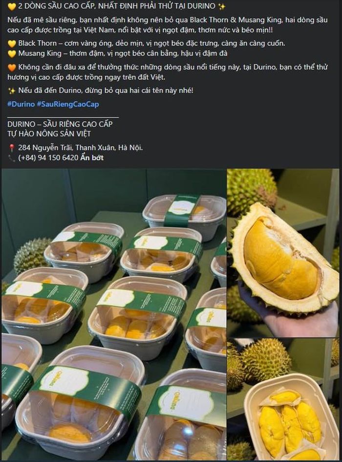 Hai loại sầu Musang King và Black Thorn được nhiều người tiêu dùng ưa chuộng.