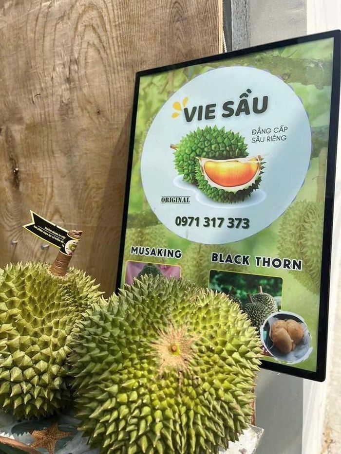 Sầu Musang King và Black Thorn đều có giá bán tương đối đắt đỏ trên thị trường.