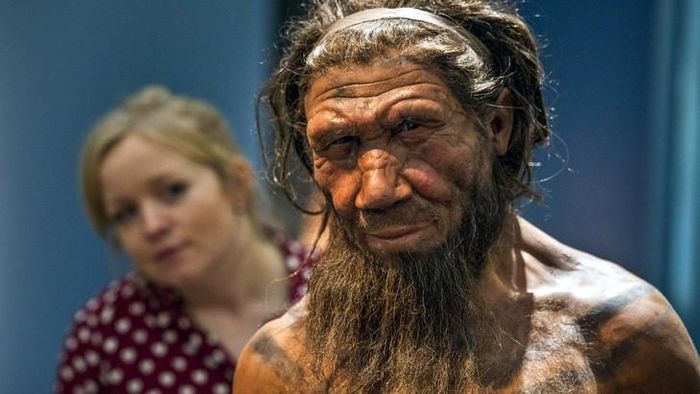Những phần ADN Neanderthal còn sót lại đang đảm nhận nhiều chức năng hữu ích đối với người Hiện đại. Ảnh minh họa: WAMU