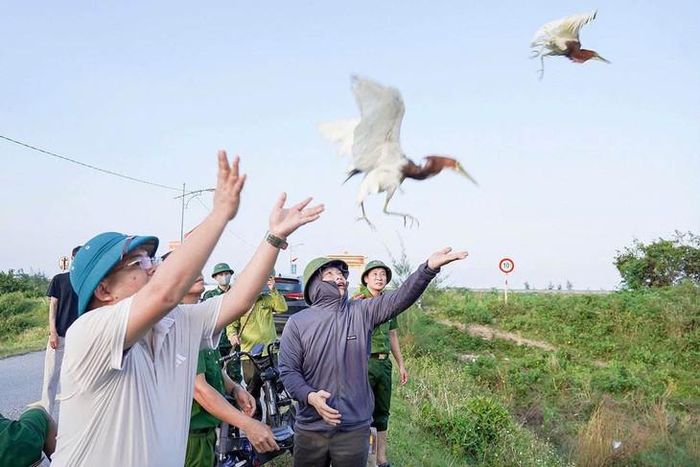 Việc ngăn chặn các hành vi săn bắt, buôn bán các loài chim hoang dã, chim di cư vẫn còn nhiều khó khăn. Ảnh: TL.