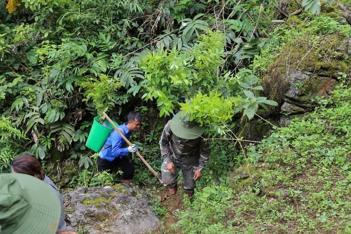 Việt Nam nằm trong nhóm 10 quốc gia có diện tích rừng tăng nhanh nhất thế giới.