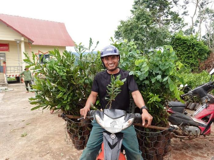 Việc tham gia thị trường carbon không còn là lựa chọn mà đã trở thành yêu cầu bắt buộc để doanh nghiệp Việt Nam duy trì lợi thế cạnh tranh.