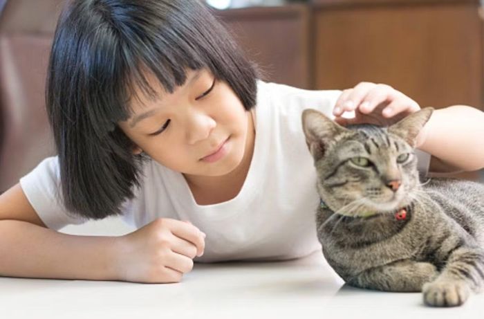 Trẻ tiếp xúc với chó, mèo có thể không nhớ là mình bị cào, hoặc vết cào rất nhỏ nên không ai để ý. Ảnh minh họa: iStock.