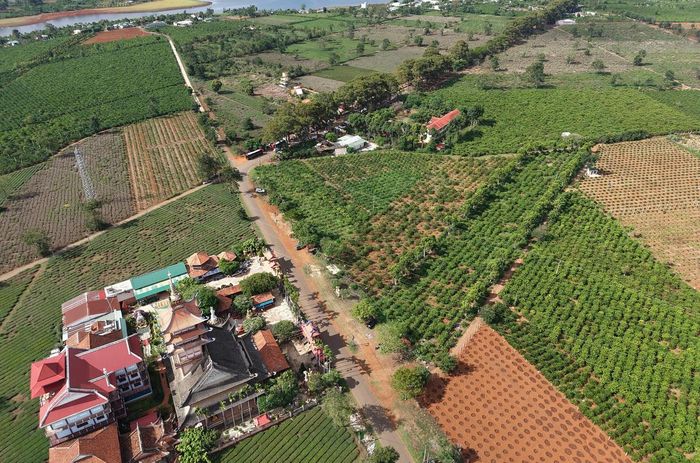 Một góc phường Pleiku, tỉnh Gia Lai. Ảnh: ĐS.