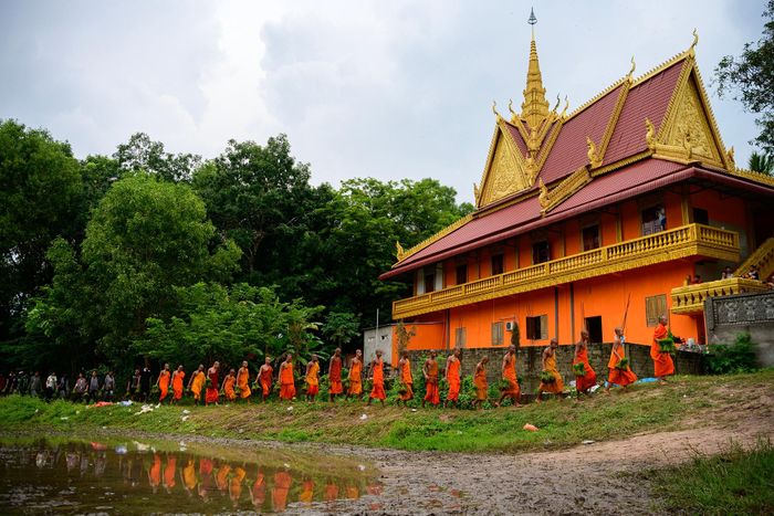  Sau những màn tranh tài quyết liệt, các sư sãi và bà con Khmer cùng xuống ruộng cấy mạ ngay trên khu vực vừa diễn ra hội đua bò. Hoạt động này nằm trong chuỗi sinh hoạt cộng đồng, chuẩn bị cho mùa vụ mới. Hội đua bò Chùa Rô năm nay từng đứng trước nguy cơ không thể tổ chức do khó khăn về kinh phí, nhưng nhờ vận động các nguồn lực xã hội hóa, hội đua vẫn được duy trì, tiếp nối nét văn hóa truyền thống của đồng bào Khmer vùng Bảy Núi. 