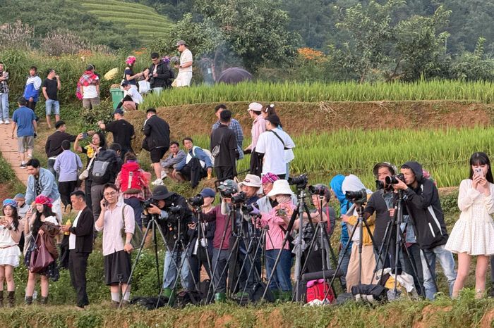 Du khách, nhiếp ảnh gia đổ về khu vực đồi Móng Ngựa săn cảnh hoàng hôn mùa lúa. Ảnh: Lê Hiệp.