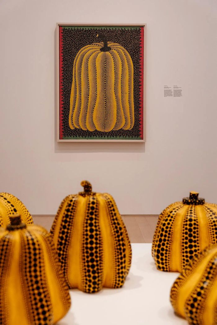  Từ nhỏ, Kusama đã trải qua những ảo giác về thị giác và thính giác. Sau này, bà kể từng thấy một quả bí ngô như sống dậy và lên tiếng khi đi qua cánh đồng cùng ông. Động vật và hoa cũng xuất hiện trong những trải nghiệm tương tự. Các hình dạng hữu cơ, mạng lưới và chấm tròn trong ảo giác liên tục sinh sôi, bao phủ không gian, thế giới và cơ thể bà. Vẽ lại chúng trên giấy giúp Kusama khám phá và kiểm soát những trải nghiệm này. Năm 19 tuổi, Kusama thuyết phục cha mẹ cho bà theo học một trường nghệ thuật ở Kyoto để nghiên cứu hội họa Nihonga truyền thống. Bà sớm hình thành ngôn ngữ riêng bằng cách kết hợp các mô-típ hữu cơ với hoa văn và tổ chức những triển lãm được công chúng đón nhận. Ảnh: The New York Times.
