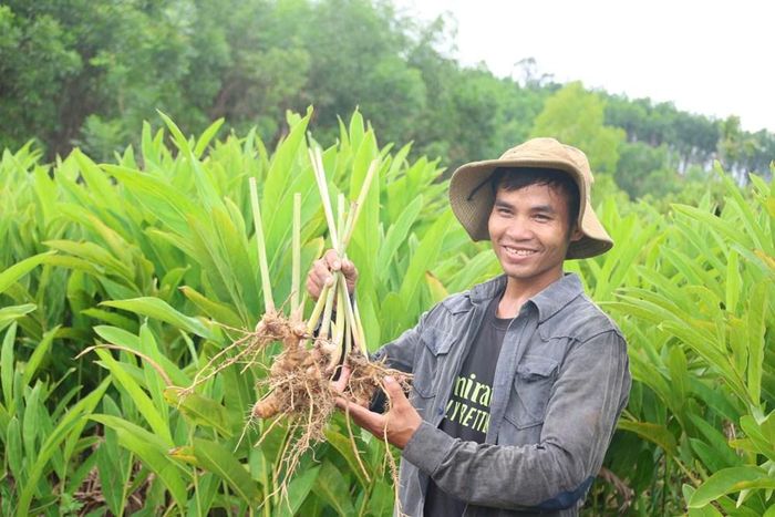 Mô hình chuyển đổi cây trồng của anh Sương mang lại hiệu quả kinh tế, mở ra hướng phát triển sinh kế bền vững