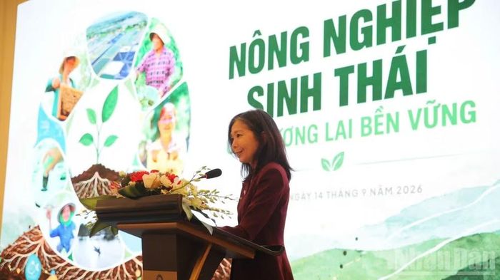 Bà Pauline Tamesis, Điều phối viên thường trú Liên hợp quốc tại Việt Nam phát biểu tại hội thảo.