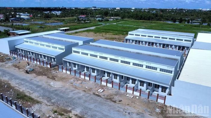 Khu nhà ở xã hội phường An Xuyên do Công ty Cổ phần Xây dựng và Phát triển nhà Cà Mau làm chủ đầu tư. (Ảnh: HỮU TÙNG, chụp tháng 10/2025).