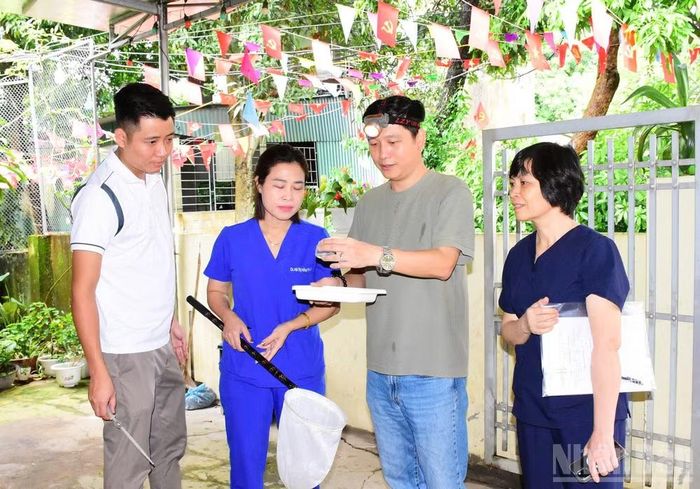 Thu thập mẫu muỗi trưởng thành và bọ gậy gây bệnh trên địa bàn phường An Tường, tỉnh Tuyên Quang. (Ảnh: KHÁNH TOÀN)