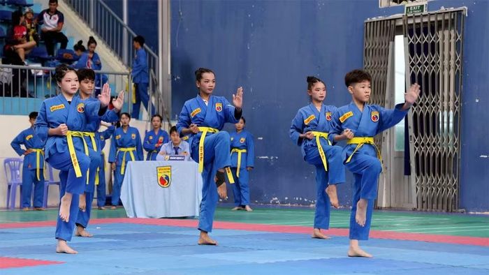 Các vận động viên thi đấu môn Vovinam trong khuôn khổ Đại hội. (Ảnh: V.Q)