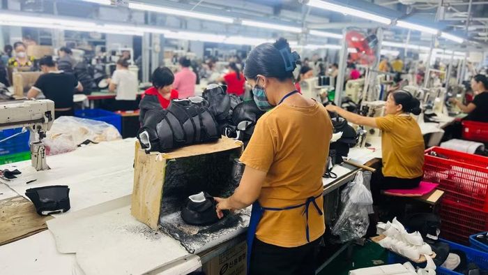 Khung đánh giá mới giúp doanh nghiệp định vị năng lực và xây dựng lộ trình chuyển đổi phù hợp. (Ảnh MINH PHƯƠNG)