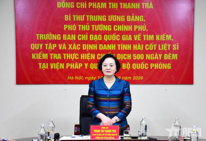 Phó thủ tướng Phạm Thị Thanh Trà phát biểu chỉ đạo.