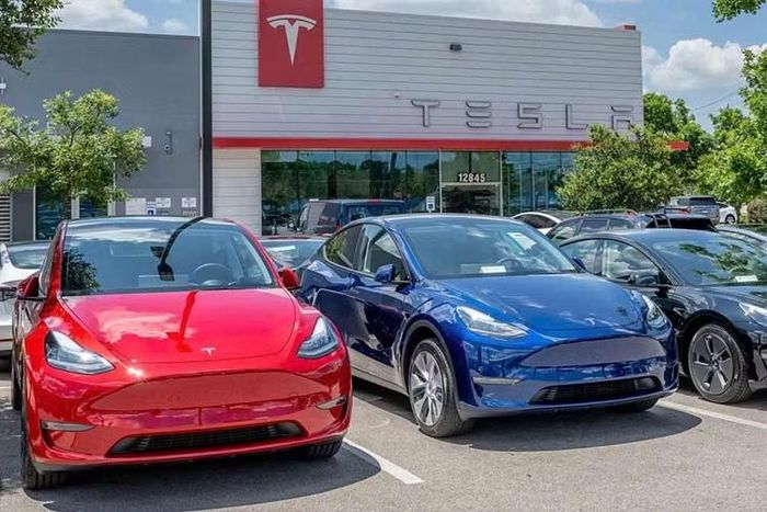 Tesla Motors Việt Nam được thành lập ngày 11/9, được cấp phép hoạt động trong các lĩnh vực gồm bán buôn, bán lẻ ôtô, phụ tùng xe, máy móc và thiết bị.