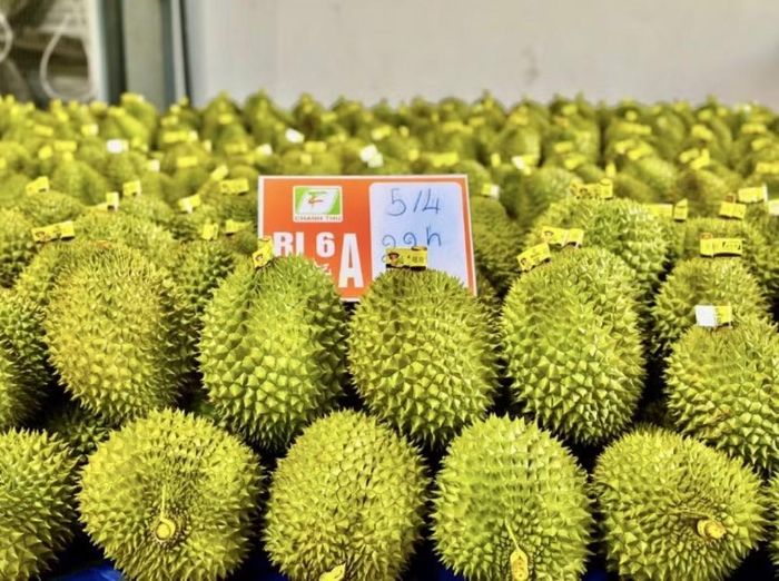 Đơn giản hóa thủ tục hành chính trong cấp, quản lý mã số vùng trồng, mã số cơ sở đóng gói. Ảnh minh hoạ: Chu Khôi