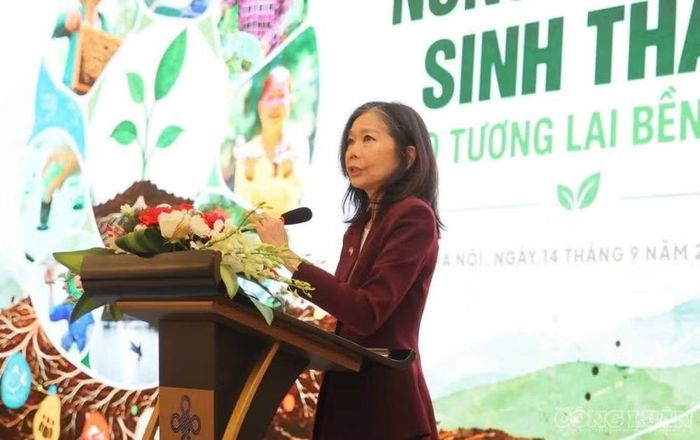 Bà Pauline Tamesis, Điều phối viên thường trú Liên hợp quốc tại Việt Nam phát biểu tại hội thảo