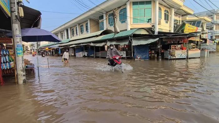 Sự kết hợp bất lợi giữa triều cường dâng cao, nước lũ từ thượng nguồn đổ về và lượng mưa lớn những ngày qua tạo ra một áp lực khổng lồ lên toàn bộ hệ thống đê bao cũng như khả năng tiêu thoát nước của tỉnh. Ảnh: Nguyễn Thuận.
