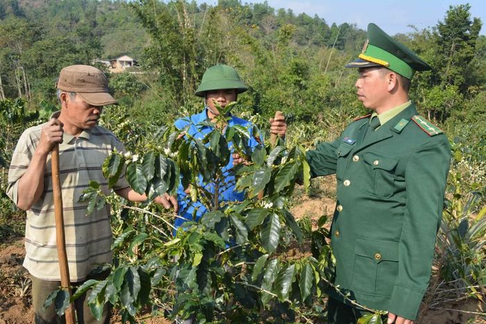Bộ đội biên phòng Việt Nam hướng dẫn dân bản Lào trồng cây cà phê. Ảnh: Phạm Xuân Dũng