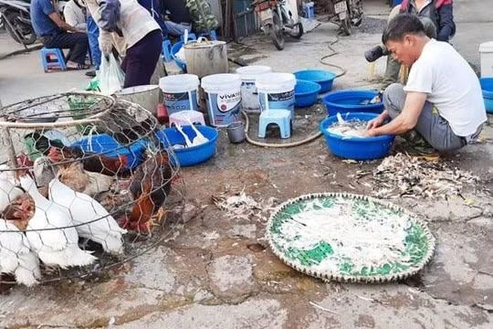 Hà Nội xử lý dứt điểm chợ tự phát và giết mổ nhỏ lẻ trên địa bàn.