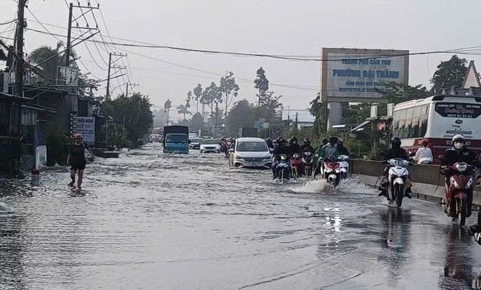 Quốc lộ 1 đoạn qua Ngã Bảy, TP. Cần Thơ ngập sâu. Ban Chỉ huy Phòng thủ dân sự TP. Cần Thơ yêu cầu đơn vị quản lý đóng, mở các âu thuyền, van, cống ngăn triều, trạm bơm kịp thời để hạn chế ngập.