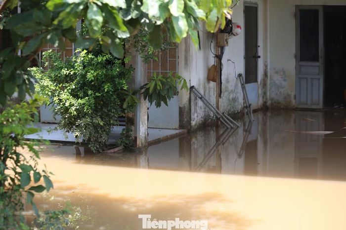 Dù nước đã xuống, nhiều nhà và khu vườn tại khu phố Miễu nước vẫn còn lênh láng.