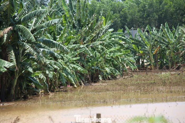 Tình trạng ngập sâu ảnh hưởng đến hơn 300 hộ tại khu vực giáp cao tốc Biên Hòa - Vũng Tàu và sông Buông
