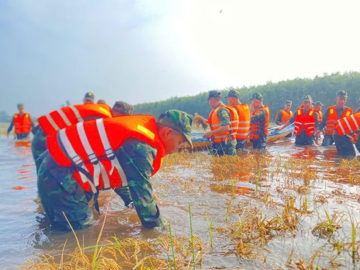 Ngay từ sáng sớm, cán bộ, chiến sĩ cơ động đến những khu vực lúa đã đến kỳ thu hoạch để hỗ trợ người dân.