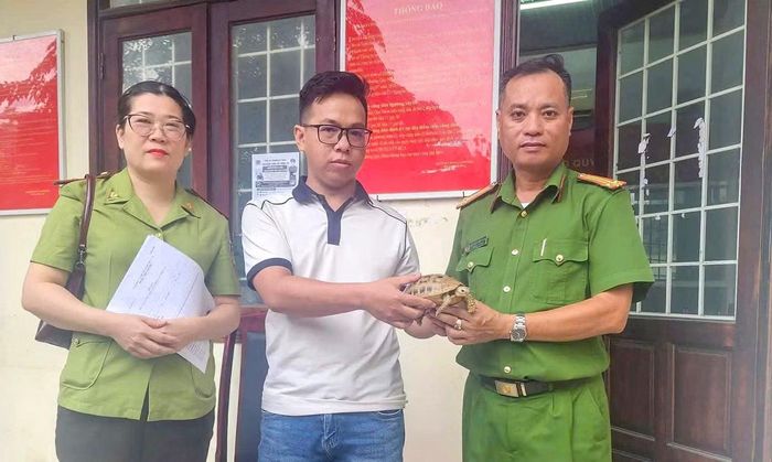 Các lực lượng chức năng tiếp nhận cá thể rùa núi vàng do công dân tự nguyện giao nộp.
