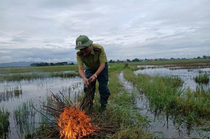 Thiêu huỷ các dụng cụ bẫy chim trời.