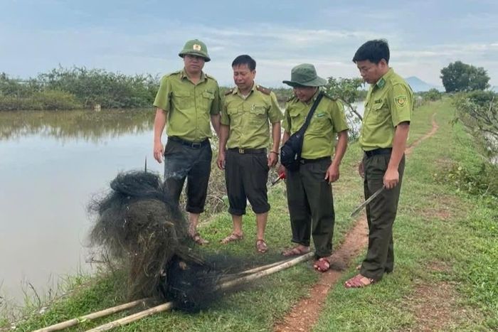 Kiểm lâm TP Huế tháo gỡ hàng nghìn dụng cụ bẫy bắt chim trời.