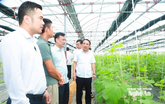 Phó Chủ tịch Thường trực HĐND tỉnh Dương Đình Chỉnh thăm mô hình nông nghiệp của anh Trần Quốc Tuấn tại xóm Kim Nghĩa. Ảnh: Thành Duy