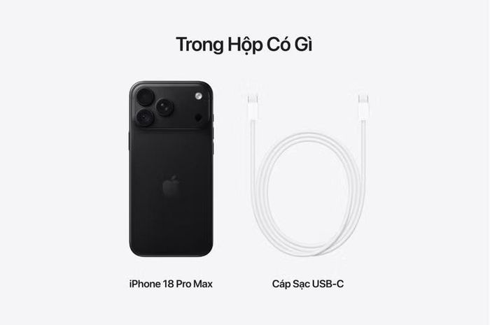 Cáp và điện thoại minh họa việc kiểm tra đường kết nối khi xây dựng bộ thiết bị nghe nhạc.