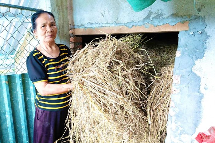 Bà Lệ chuẩn bị thuyền và thức ăn cho gia súc, đưa lên các vị trí cao trong nhà chạn để chủ động ứng phó khi lũ xảy ra
